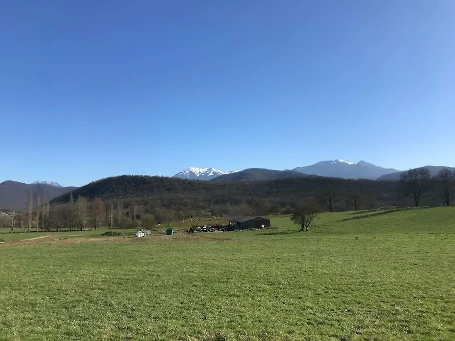 Au Coeur De Loo Villa Sauveterre-de-Comminges Holiday home
